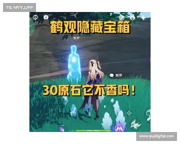 鹤观岛神秘探险之旅全攻略 探索未知奇观与自然之美