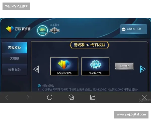 王者荣耀鹰眼护卫队助你轻松一步到位畅享游戏精彩体验 王者荣耀鹰眼护卫队助你轻松一步到位畅享游戏精彩体验