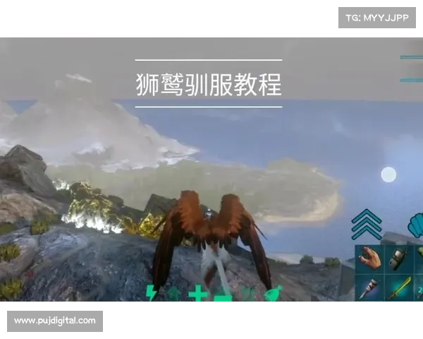 驯服狮鹫的五大必备技巧,助你成功驾驭神秘生物的智慧与力量 驯服狮鹫的五大必备技巧,助你成功驾驭神秘生物的智慧与力量