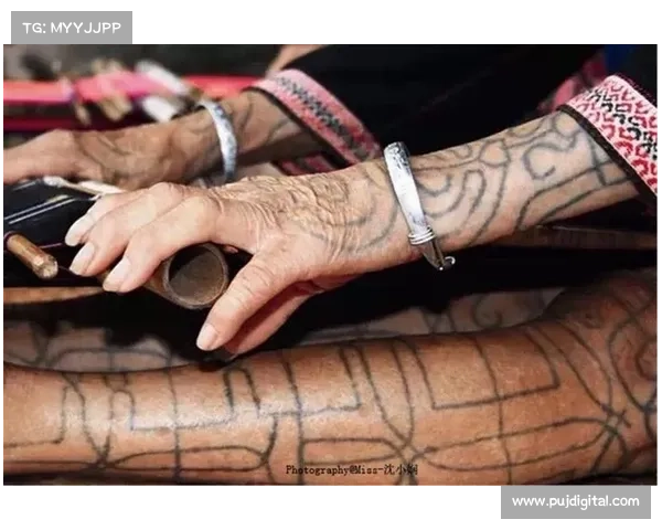 揭秘恐怖祖先的秘密之旅：追寻真相的三大关键步骤