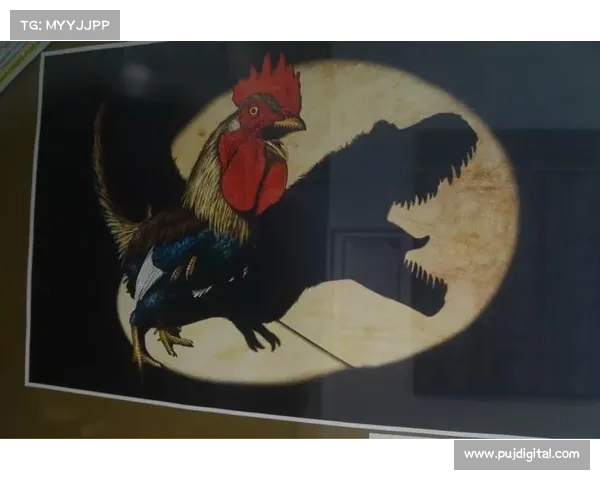 北美洲主要杯赛概览及其历史发展与影响力分析 北美洲主要杯赛概览及其历史发展与影响力分析