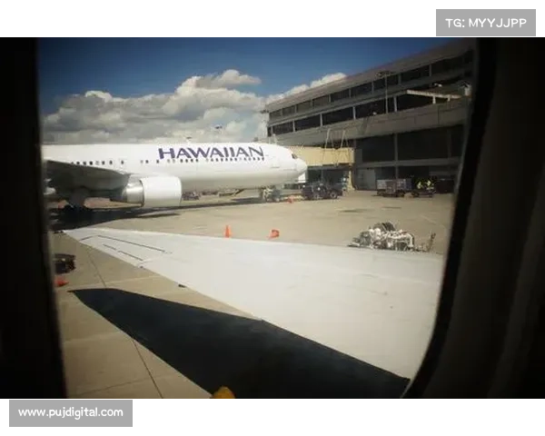 揭秘北美洲杯赛的激情与荣耀探寻足球热土背后的独特魅力