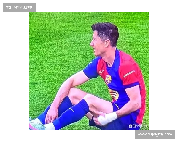 揭秘莱万成名背后的奋斗历程与无数挑战，如何从默默无闻到世界顶级射手